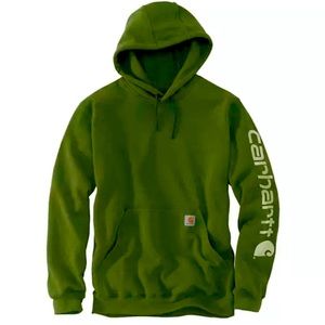 Brand new in the package with tags Mens carhartt hoodie
